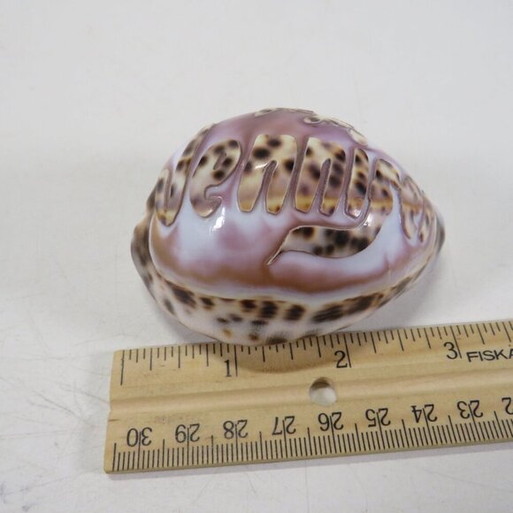 REAL Sea Shell Hand-Carved “Jennifer” Cowrie Shell Hawaiian - Picture 8 of 10
